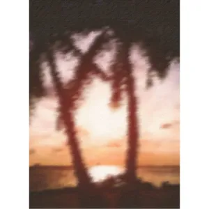 28ct Orange Ocean Sunset Printed Linen