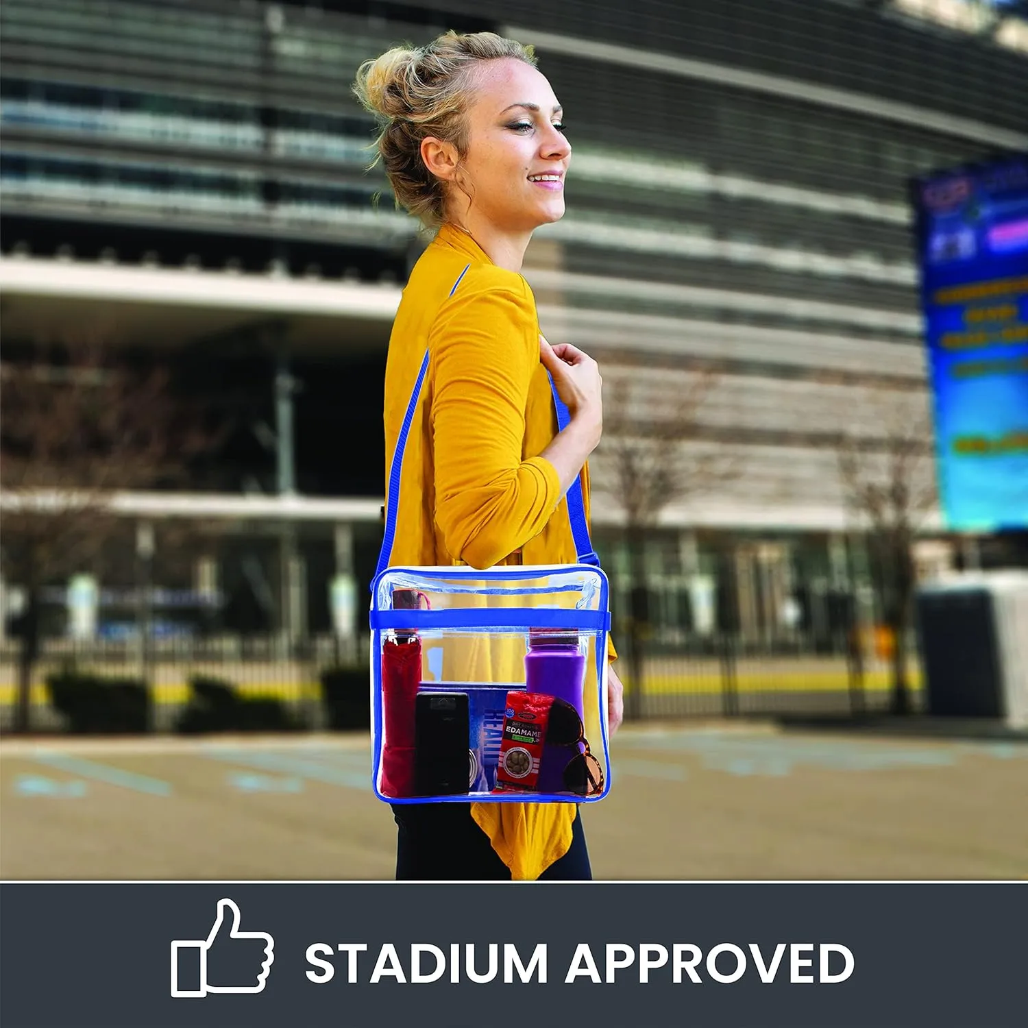 Bags for Less [Set of 2] Clear Bag Stadium Approved with Handles And Zipper - 12 inch x 12 inch x 6 inch