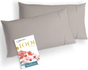 Carressa Linen Luxury Egyptian Cotton King Pillow Cases Set of 2-1000 Thread Count Pillowcases for Sleeping, Silky Soft, Cooling Pillow Cover, Extra Long Staple Hotel Quality Pillow Cases - Taupe