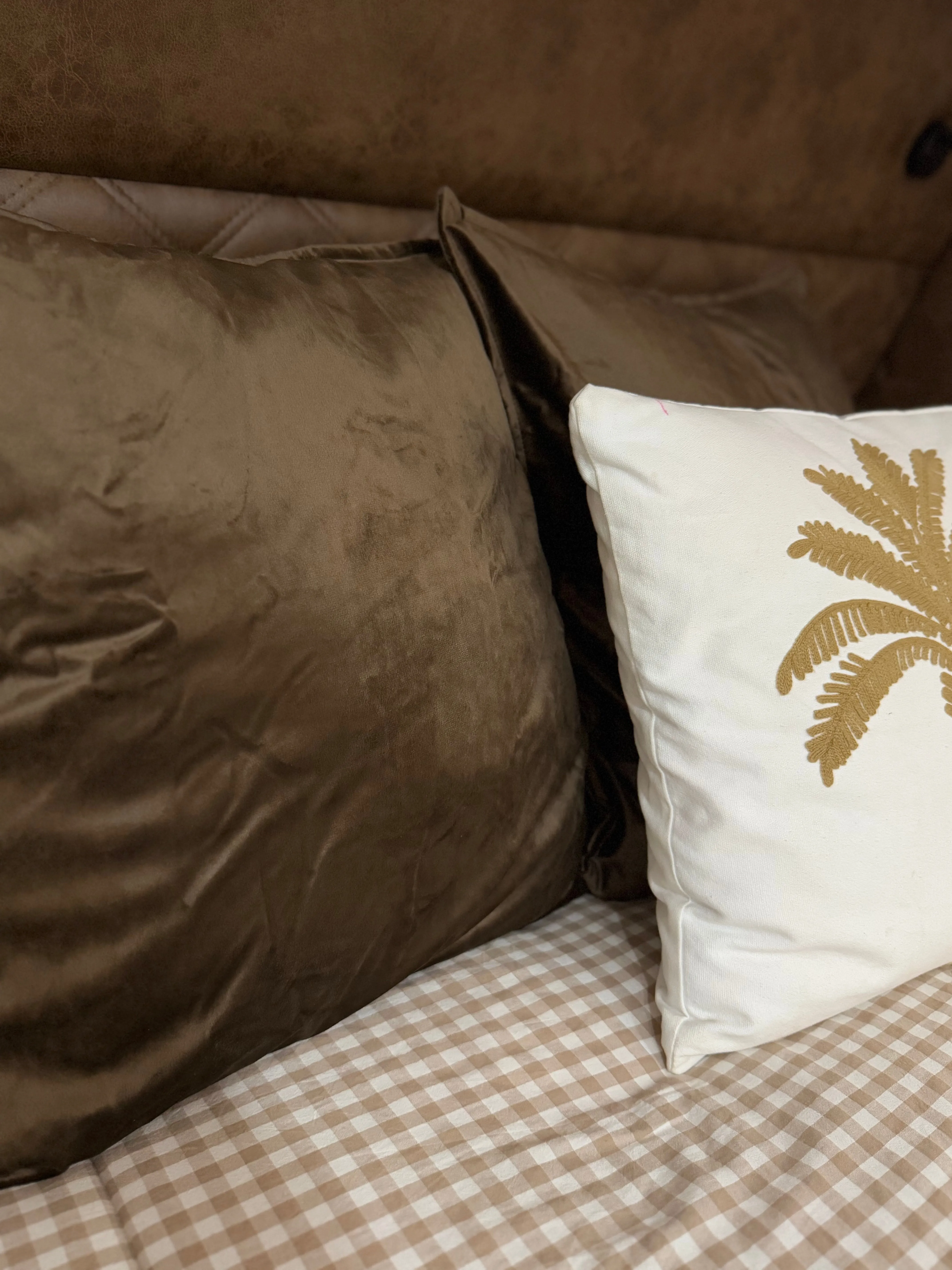 French Style Velvet Euros - Set of 2