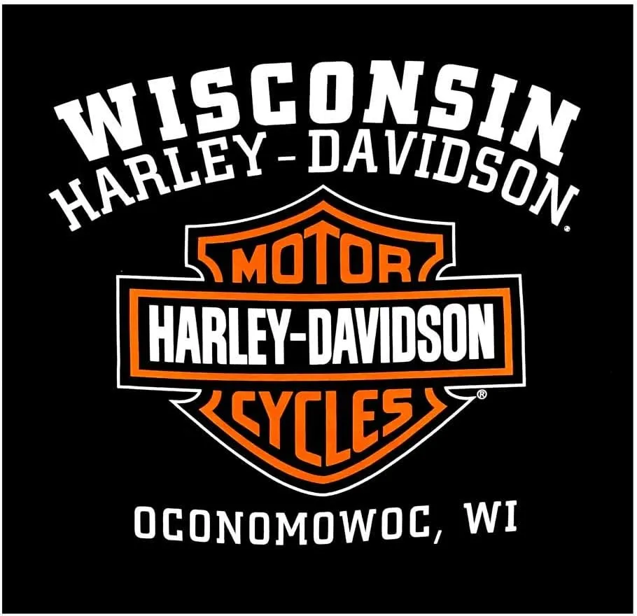 Harley-Davidson Men's Custom Iconic B&S Fleece Pullover Hoodie - Solid Black