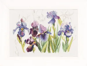 Irises Cross Stitch Kit