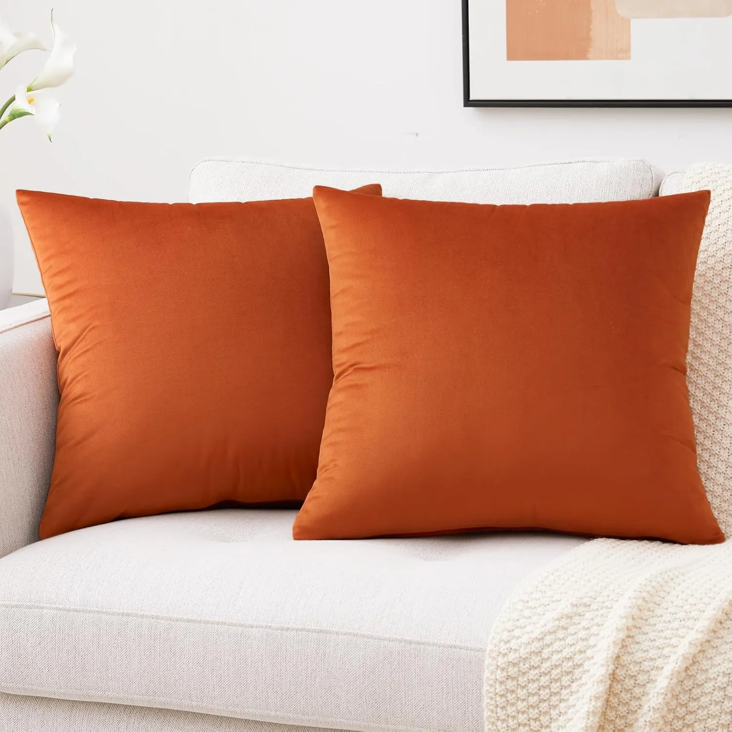 Mixhug Decorative Throw Pillow Covers, Velvet Cushion Covers, Solid Throw Pillow Cases for Couch and Bed Pillows, Burnt Orange, 20 x 20 Inches, Set of 2
