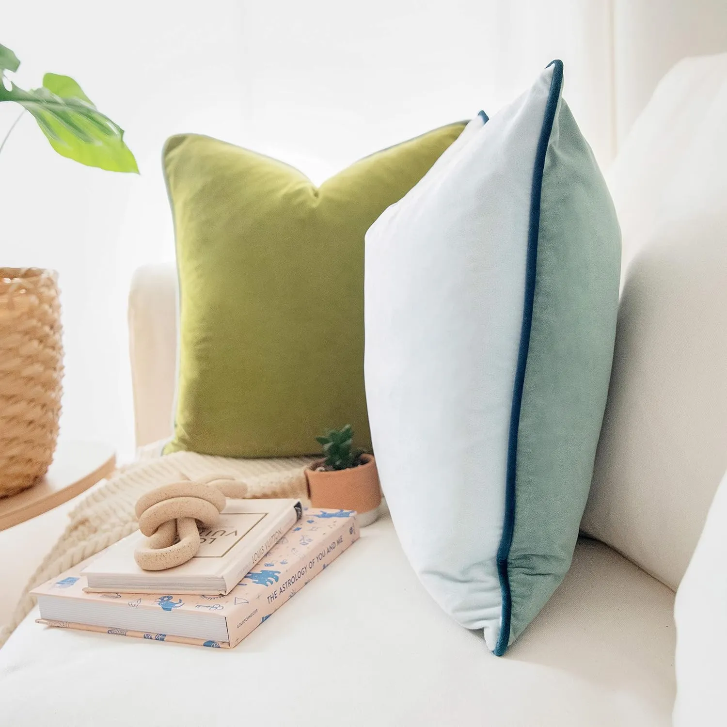 MONDAY MOOSE Decorative Throw Pillow Covers Cushion Cases, Set of 2 Soft Velvet Modern Double-Sided Designs, Mix and Match for Home Decor, Pillow Inserts Not Included (20x20 inch, Green/Blue)