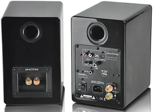 Peachtree Audio M24x Powered Speakers (Pair) (Piano Black)