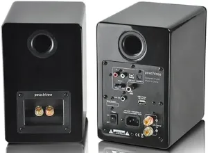 Peachtree Audio M24x Powered Speakers (Pair) (Piano Black)