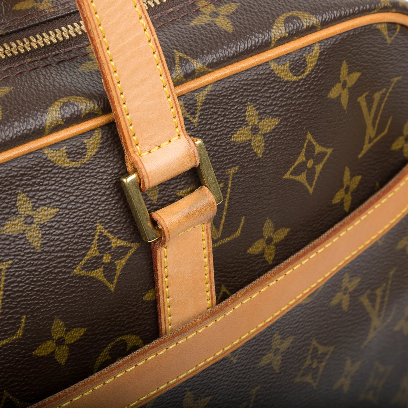 Pegase Laptop Bag