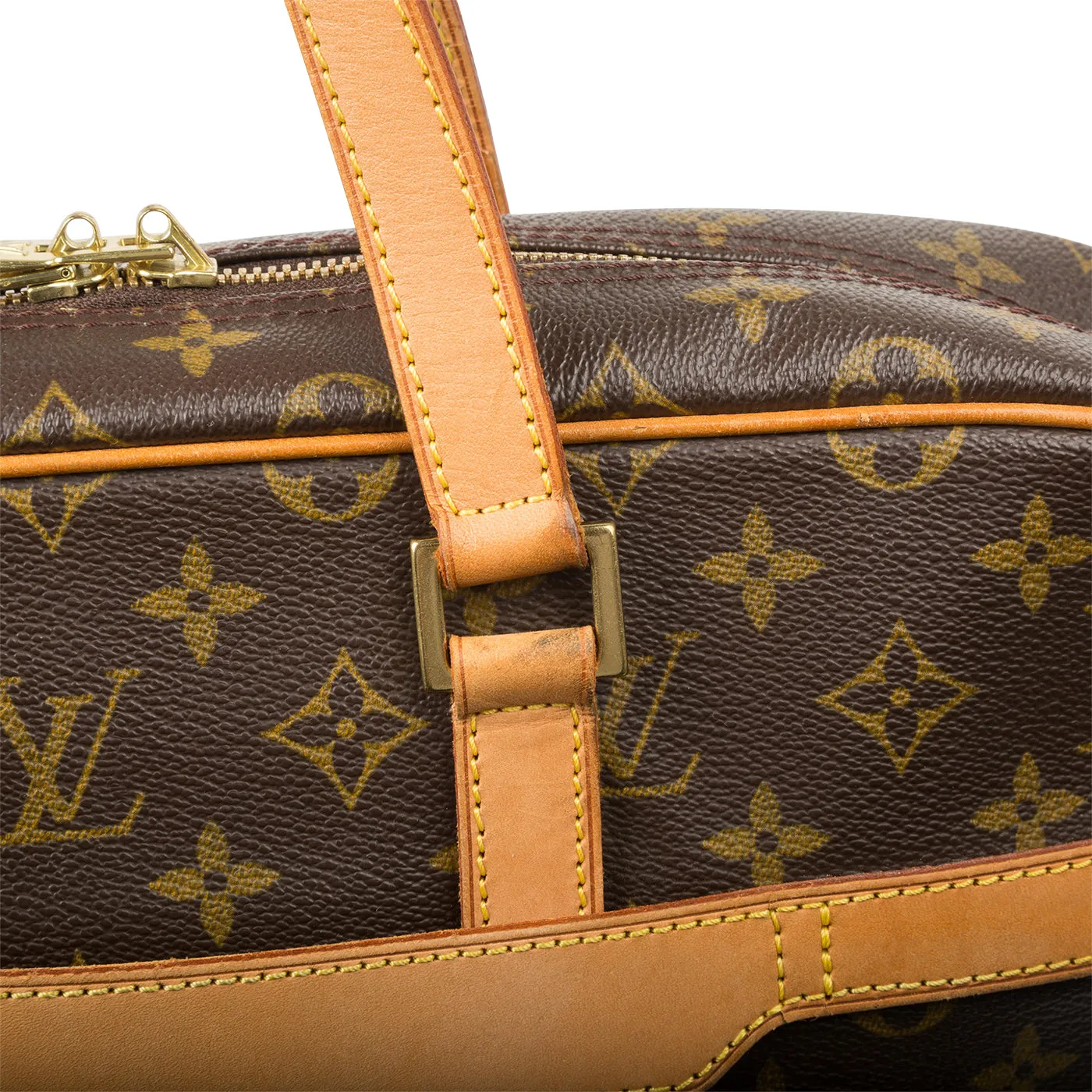 Pegase Laptop Bag