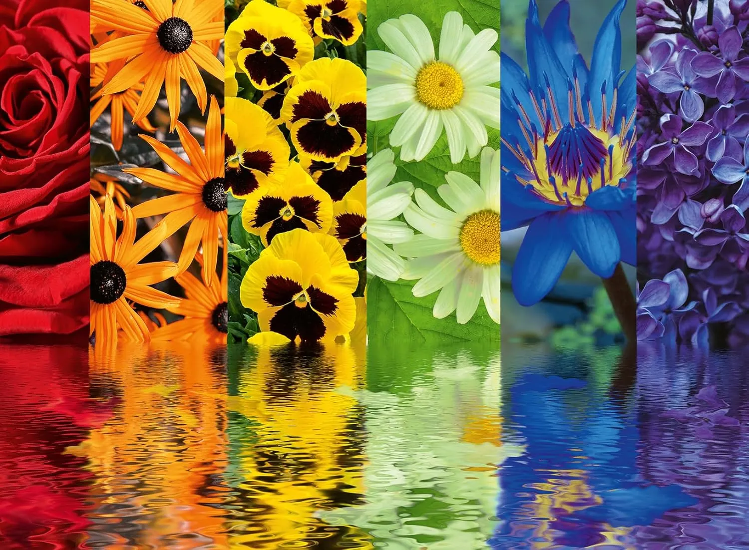 Ravensburger Floral Reflections 500-Piece Puzzle | Premium Quality Material | Unique Piece Design | Anti-Glare Surface | Great Gift for Puzzlers
