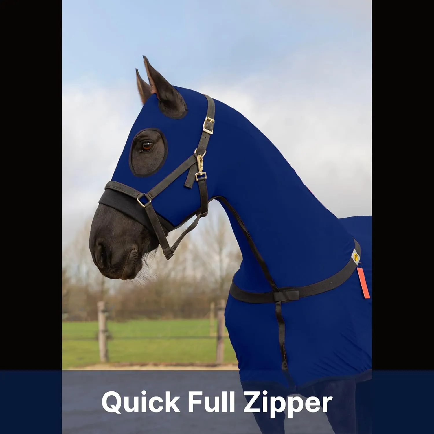 RESISTANCE Full Body Slinky with Zipper Hood and Belly Wrap, Various Sizes and Colors
