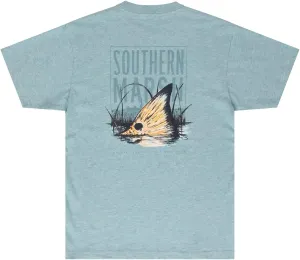 Southern Marsh Youth Spot Sighting