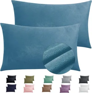 TELUS 2 Pack Zippered Velvet Standard Pillowcases, Super Soft and Cozy Luxury Fuzzy Flannel Pillow Cases with Zipper, 20x26 Inches, Light Blue
