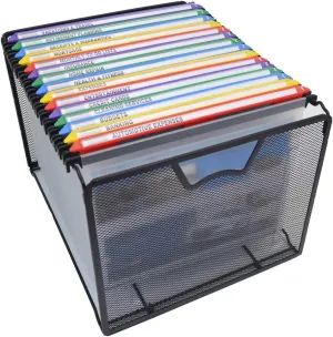 Ultimate Office Mesh Hanging File Organizer Complete with 5 MagniFile Hanging File Folders, Frost Files with Colored Indexes